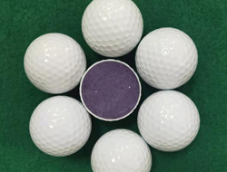 廠家直銷高爾夫PU聚氨酯材質穩定性好雙層比賽球可定制加印LOGO